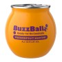 BuzzBallz Passionfruit Martini Ready-to-Go Cocktail 13.5% (12x0.2l)
